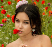 Cara Q - Cara - Field of Red Roses - Stunning 18 13
