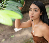 Why Effy: Enchant Me - Watch4Beauty 7