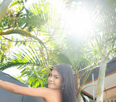 Cookie - Golden Palms - MetArt 17