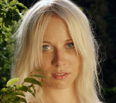 Presenting Tasha White - Erotic Beauty 11