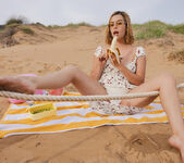 Sally Hunter: Beach Picnic - Watch4Beauty 8