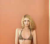 Stasja K - My Favorite Tiger - Stunning 18 6