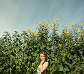 Vega - Field of daisies - Stunning 18 5