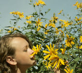 Vega - Field of daisies - Stunning 18 9