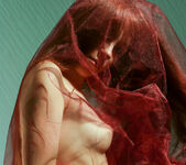 Ilitia O - Llitia - Under the Cloth - Stunning 18 14