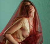 Ilitia O - Llitia - Under the Cloth - Stunning 18 15