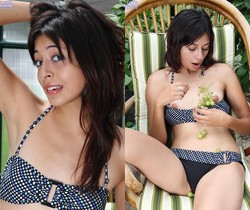 Rocky - Karup's Hometown Amateurs - Solo HD Gallery