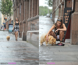 Alisha - Lucky Dog! - BreathTakers - Solo Picture Gallery