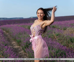 Sumiko - Lavender Fields - MetArt - Solo Image Gallery