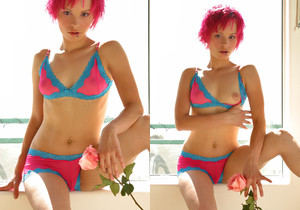 Elaina - Pink Rose - Solo Sexy Gallery