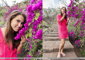 Nina Sphinx - Wonders - MetArt - Solo Image Gallery
