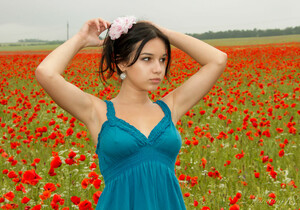 Cara Q - Cara - Field of Red Roses - Stunning 18 - Teen Image Gallery
