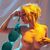 Rachelle Summers Solo
