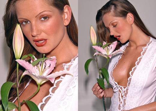 Sandra Shine - Flower - Solo Sexy Photo Gallery