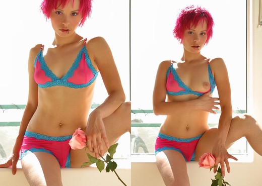 Elaina - Pink Rose - Teen Porn Gallery
