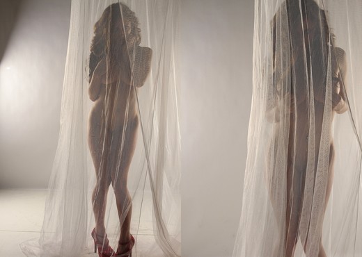 Lily poses behind a sheer curtain and teases - Solo Image Gallery