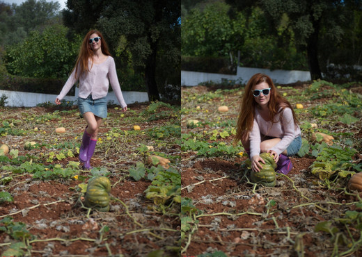 Mia Sollis - Pumpkin Patch - Girlfolio - Solo Image Gallery