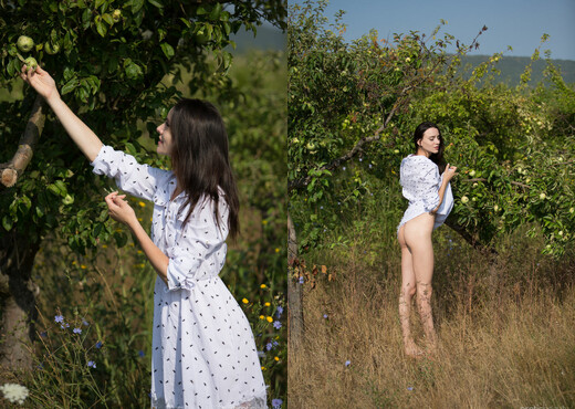 Adel Morel - Green Apples - Erotic Beauty - Solo Nude Pics