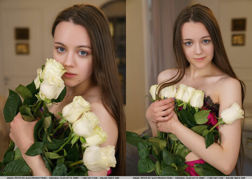 Presenting Angel Petite - MetArt - Solo Picture Gallery