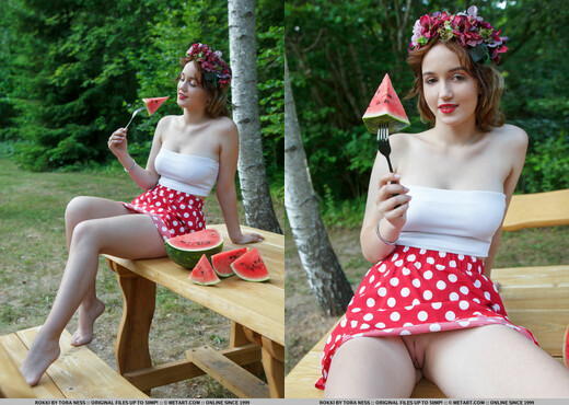 Rokki - Polka Dot Picnic - MetArt - Solo Picture Gallery