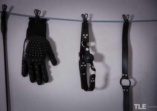 Fibi Euro - Kinky Night 1 - The Life Erotic - Solo Porn Gallery