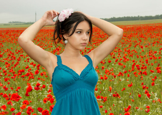 Cara Q - Cara - Field of Red Roses - Stunning 18 - Teen Image Gallery