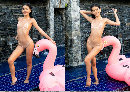 Vina Rae - Pool Day - MetArt - Solo Nude Pics