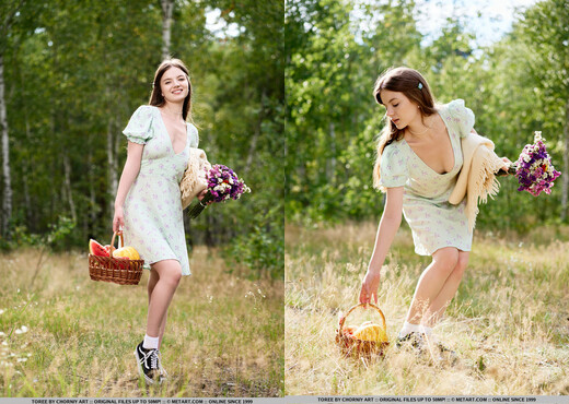 Toree - Sexy Picnic - MetArt - Solo Nude Pics