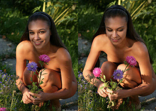 Freya - Gulxo - Rylsky Art - Solo Image Gallery