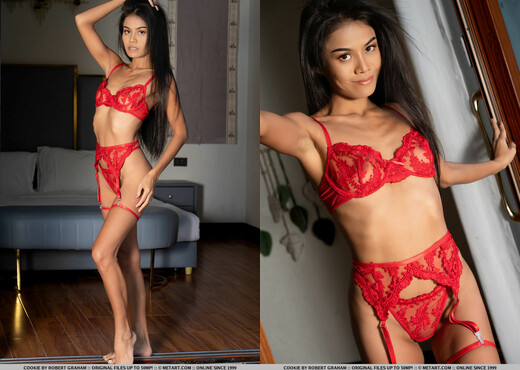 Cookie - Scarlet Secret - MetArt - Solo Sexy Photo Gallery
