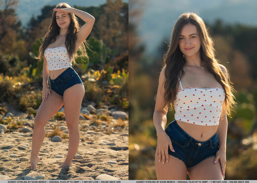 Audrey Sterling - Sweet Little Berry 1 - MetArt - Solo Picture Gallery